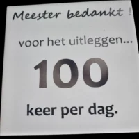 Gegraveerd Tegeltje - "Meester bedankt voor het uitleggen 100 keer per dag"